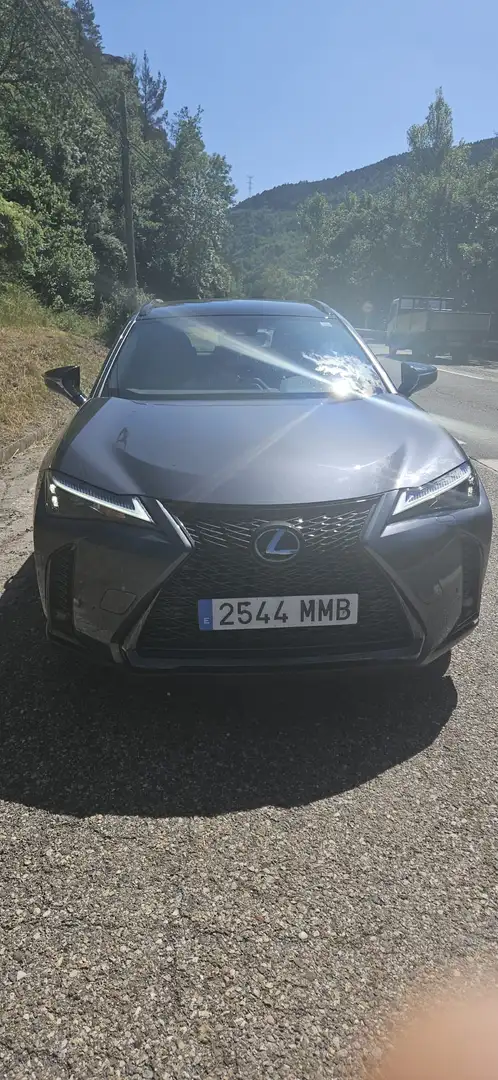 Lexus UX 250h F Design 2WD - 1