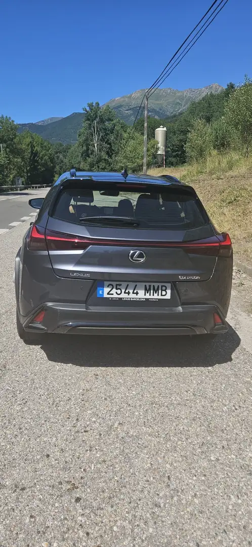 Lexus UX 250h F Design 2WD - 2