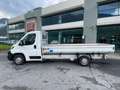 Peugeot Boxer 335 2.0 bluehdi 160cv L4 cass.allum. Onnicar E6 Biały - thumbnail 2