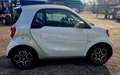 smart forTwo III° 1.0 PASSION  71cv twinamic Weiß - thumbnail 8