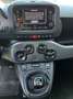Fiat Panda Panda III 2021 1.0 firefly hybrid City Life s Grigio - thumbnail 10
