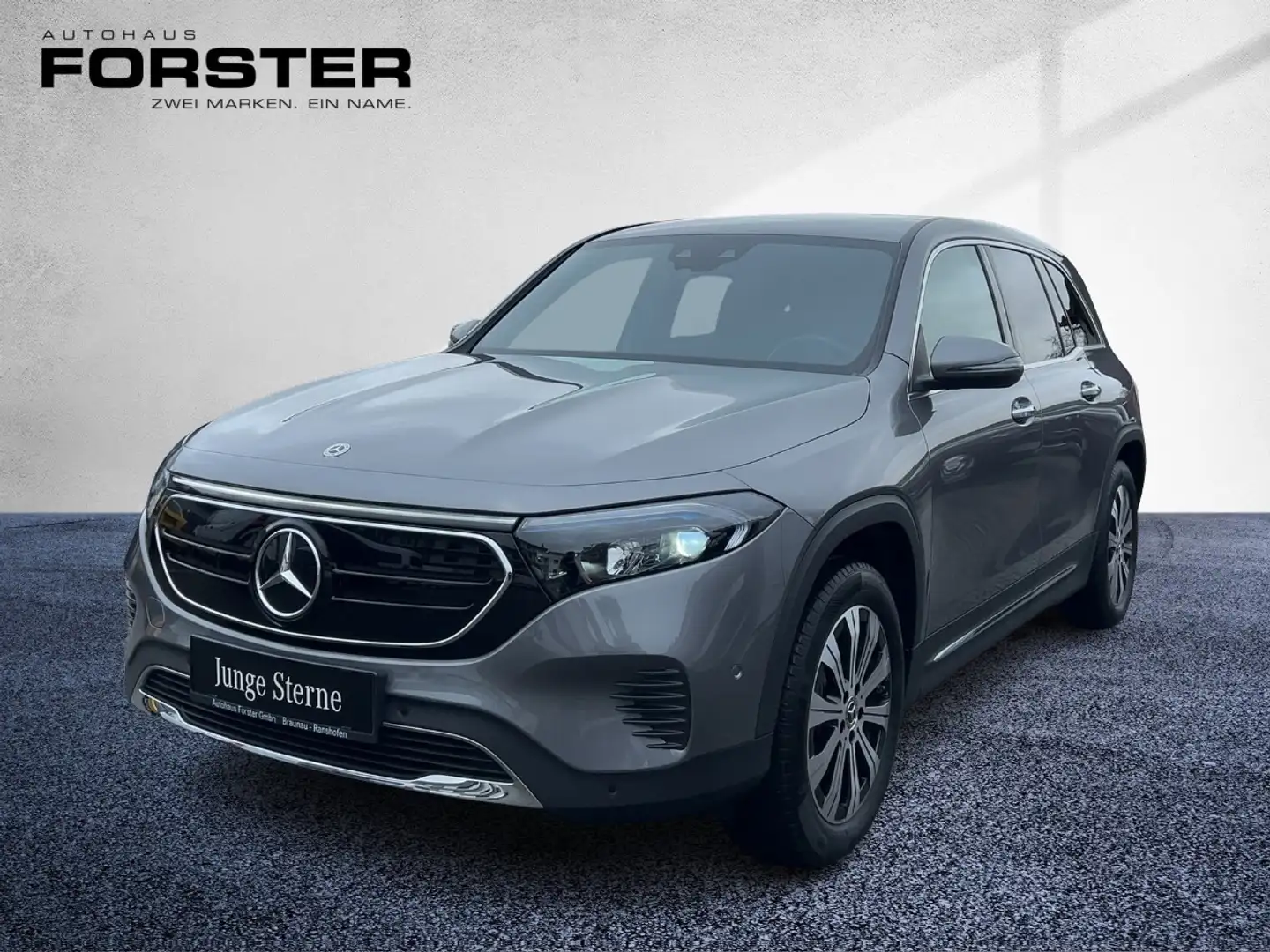 Mercedes-Benz EQB 250 + Progressive MBUX Navi AR RKam KeyGo PTS Grau - 2