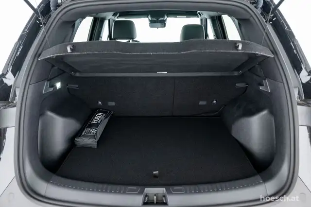 Byd Atto 2 view 8