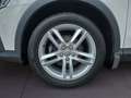 Audi Q3 2.0 TDI quattro AHK Xenon SHZ Blanco - thumbnail 7