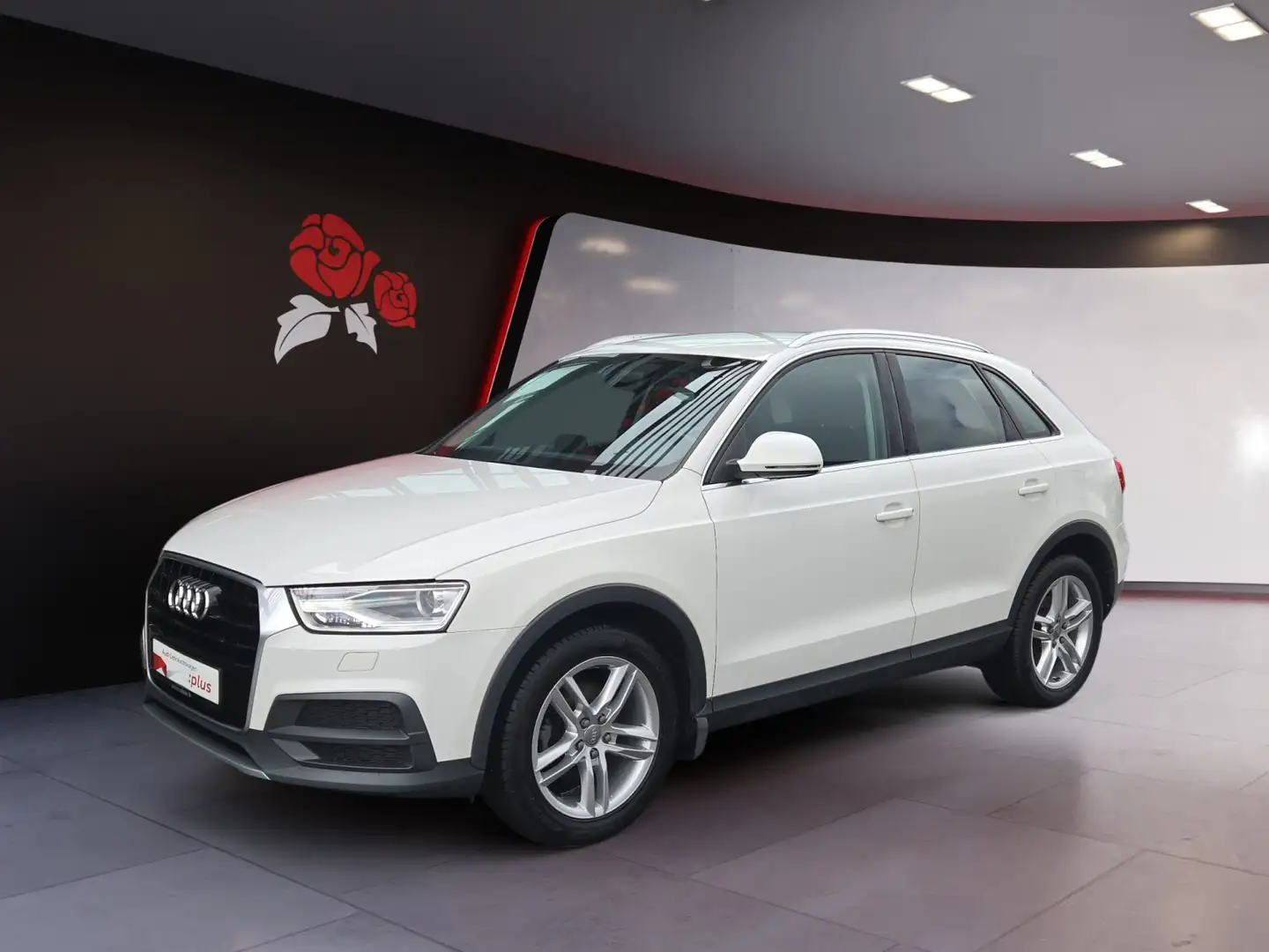 Audi Q3 2.0 TDI quattro AHK Xenon SHZ Blanco - 2