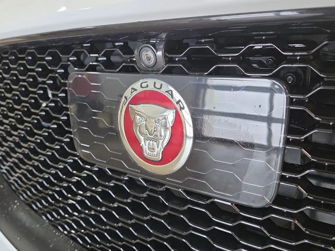 Jaguar F-Pace снимка Jaguar F-Pace