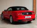 Ford Mustang GT Cabrio Automatik °DE-Modell°CARPLAY° Rojo - thumbnail 3