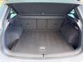 Volkswagen Tiguan 2.0 TDI United Sport DSG/Matrix/R-Kamera Grau - thumbnail 30
