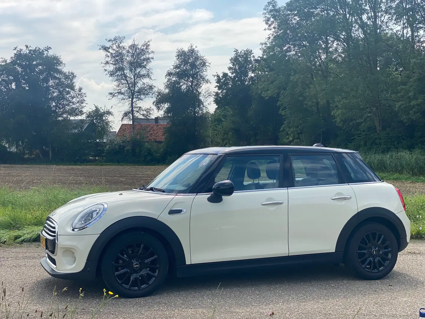 MINI Cooper Cooper 1.5 Coop. Ser. Bns Bej - 1