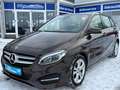 Mercedes-Benz B 200 B B 200 Urban Style Edition Navi Braun - thumbnail 1
