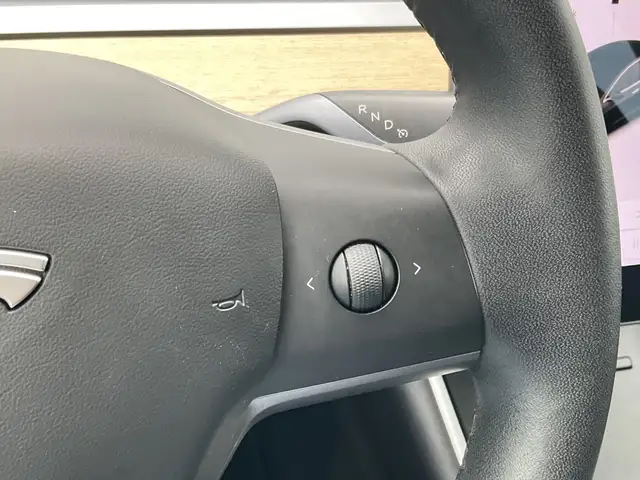 Tesla Model 3 view 10