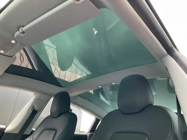Tesla Model 3 view 5