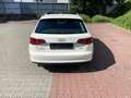 Audi A3 2.0 TDI Sportback/Panorama Schiebedach /Navi/ Blanc - thumbnail 8