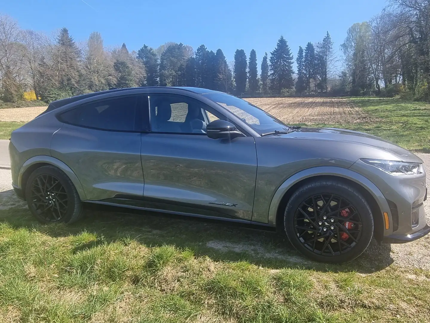 Ford Mustang Mach-E 99+kWh+AWD+GT+Extended+Range FULL OPTIONS Grijs - 1