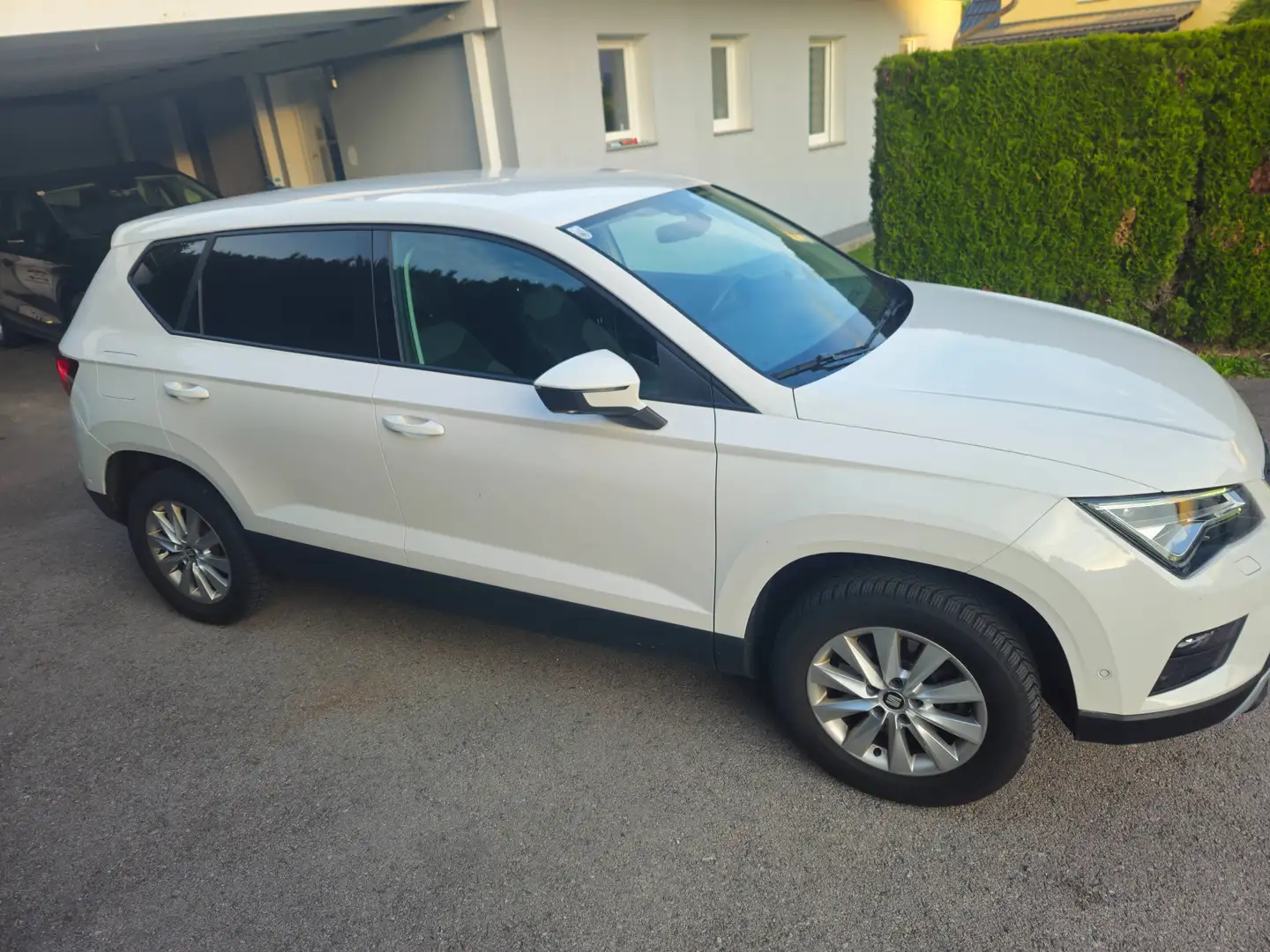 SEAT Ateca Ateca 1,0 Style Eco TSI Style Weiß - 2