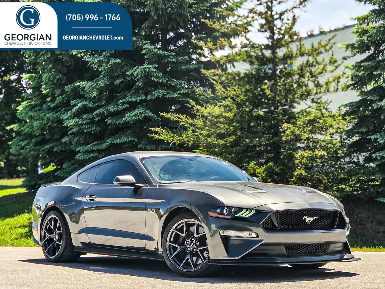 2019 Ford Mustang