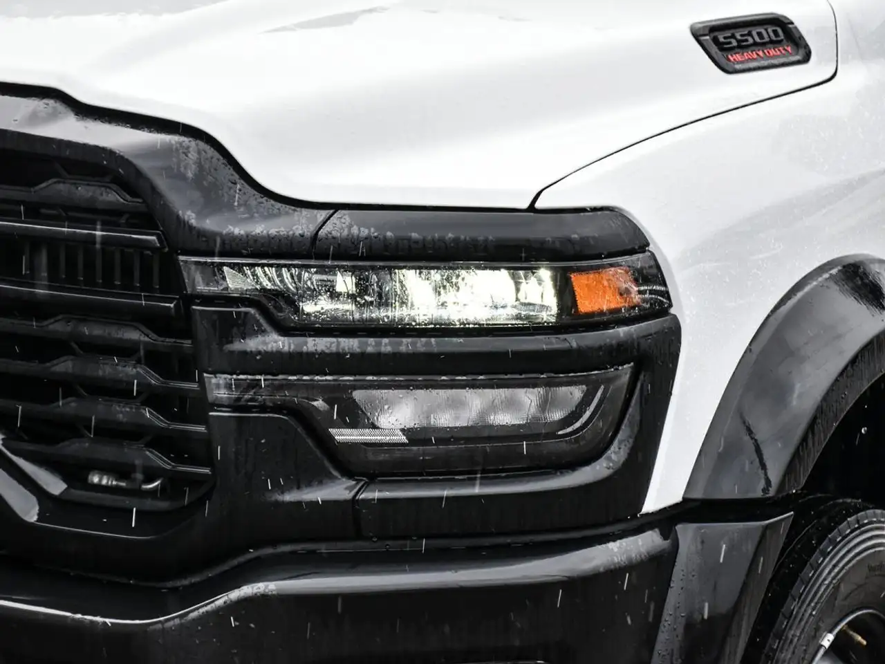 RAM 5500 снимка RAM 5500