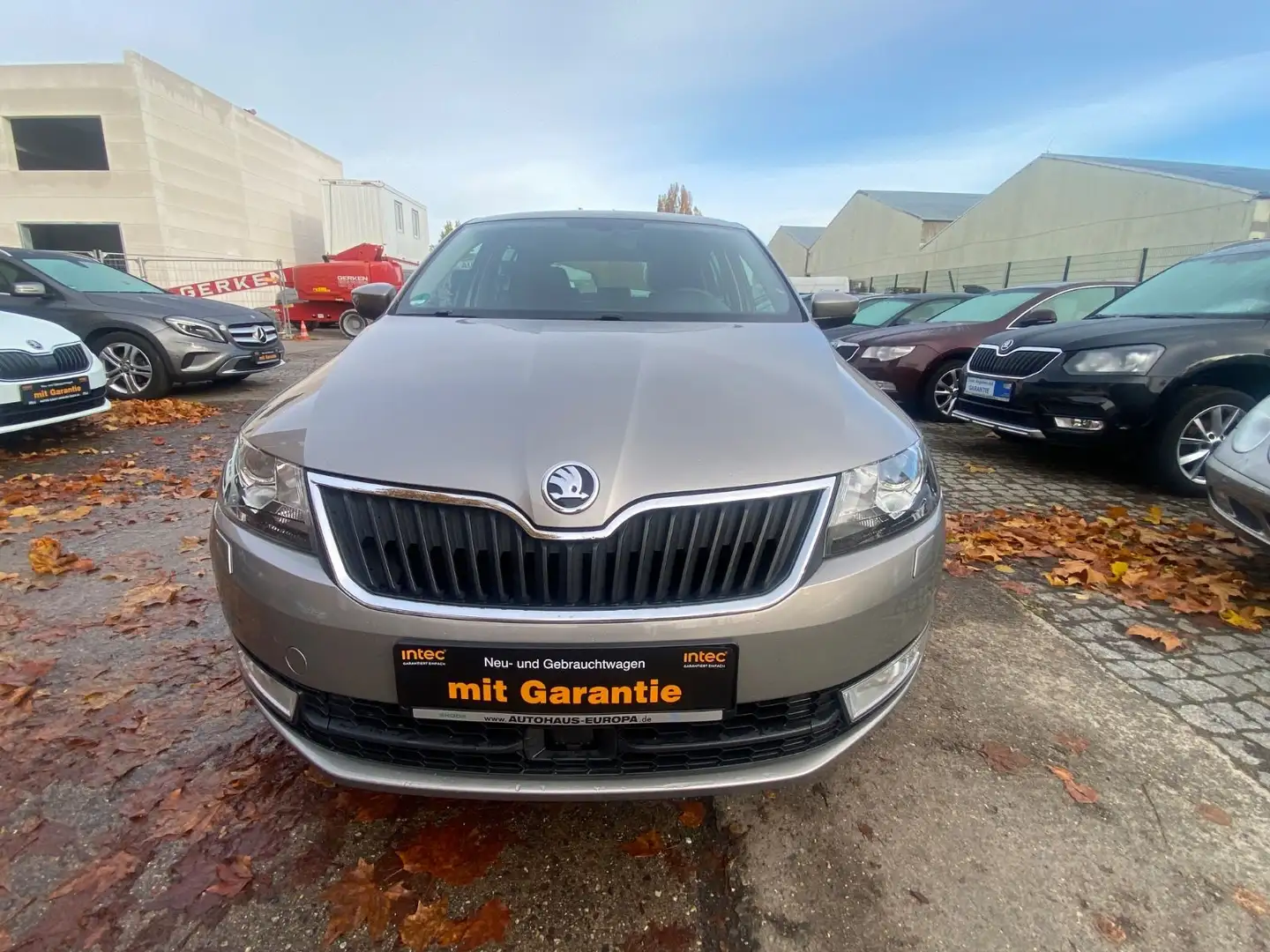 Skoda Rapid/Spaceback Spaceback Joy Klima+PDC+Sitzheizung+Xenon Beige - 2