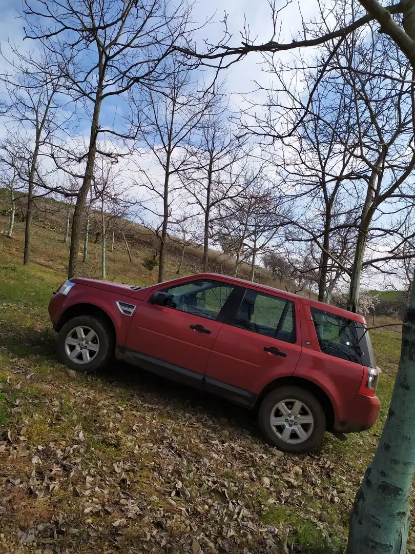 Land Rover Freelander 2.2 Td4 S 160 CV Buone condizioni, vero affare - 1