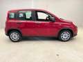 Fiat Panda 1.0 firefly hybrid s&s 70cv - thumbnail 2
