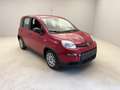 Fiat Panda 1.0 firefly hybrid s&s 70cv - thumbnail 4