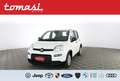 Fiat Panda Panda 1.0 FireFly S&S Hybrid Bianco - thumbnail 1