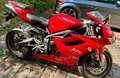 Triumph Daytona 675 Rood - thumbnail 6
