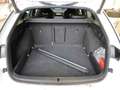 Skoda Octavia Combi RS Plus 2.0 TSI DSG MATRIX ACC HuD Weiß - thumbnail 6
