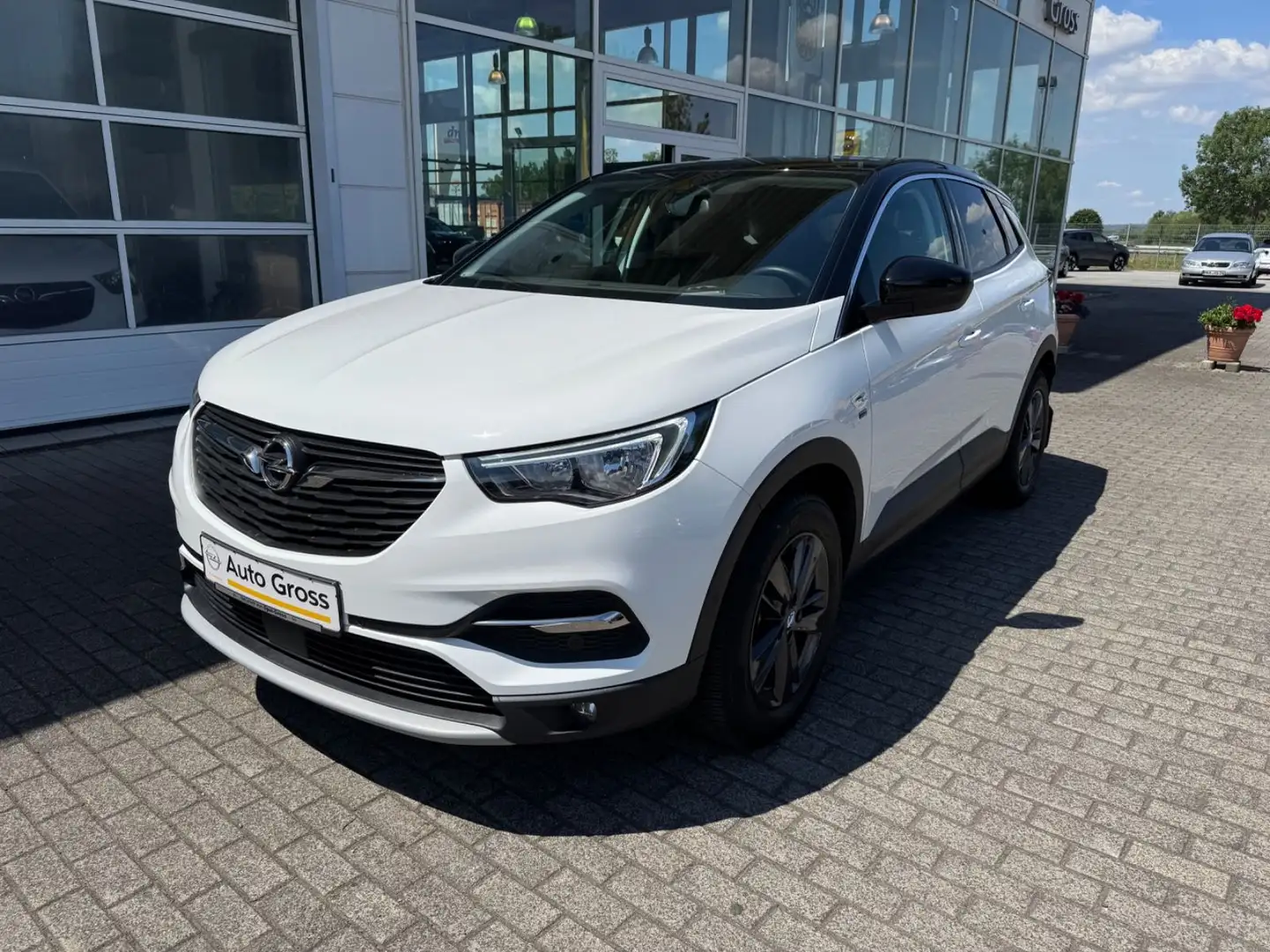 Opel Grandland X 120 Jahre Wit - 1