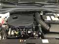 Kia ProCeed / pro_cee'd 1.5 T-GDi GT-Line AUTOMAAT BJ02/2024 25703KM DAB Wit - thumbnail 14