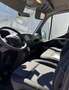 Renault Master Kofferaufbau mit Hubbühne Weiß - thumbnail 3
