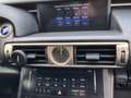 Lexus IS 300 300h Hybrid Plus (Ébano Gris) Gris - thumbnail 14