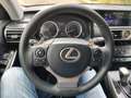 Lexus IS 300 300h Hybrid Plus (Ébano Gris) Gris - thumbnail 11