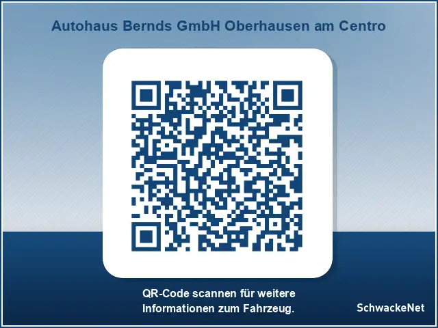 Alpine A290 Elektro 220 GT Performance Drivingpaket Safetypake