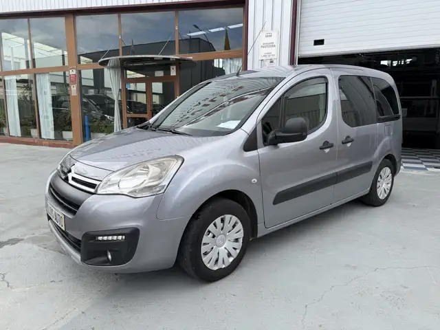 Citroen Berlingo BlueHDi Talla M Top 100