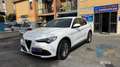Alfa Romeo Stelvio 2.2 Turbodiesel 160 CV AT8 RWD Business Blanco - thumbnail 1