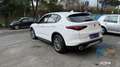 Alfa Romeo Stelvio 2.2 Turbodiesel 160 CV AT8 RWD Business Blanco - thumbnail 7