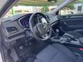 Renault Megane 1.5dCi Blue Business 85kW Blanco - thumbnail 13