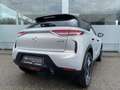 DS Automobiles DS 3 Crossback Grand Chic Beige - thumbnail 3