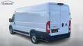 Fiat Ducato III 2,0 BlueHDi 35 L4H2 Maxi LED Kamera Alb - thumbnail 27