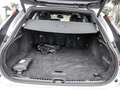 Volvo V90 T8 Twin Engine AWD R-Design H/K HGSD LED Silber - thumbnail 14
