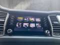 Skoda Kodiaq 4x4 Ambition SC TDI DSG Blau - thumbnail 17