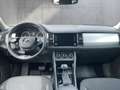 Skoda Kodiaq 4x4 Ambition SC TDI DSG Blau - thumbnail 14
