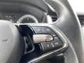 Skoda Kodiaq 4x4 Ambition SC TDI DSG Blau - thumbnail 13