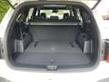 Kia Sorento Platinum 4WD 2.2 CRDi GD 7-S FACELIFT NEUES MODELL Weiß - thumbnail 25