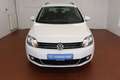 Volkswagen Golf Plus 1,2TSI Tempomat Sitzheizung Weiß - thumbnail 2