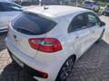 Kia Rio Rio III 2011 5p 1.2 cvvt Cool E6 Blanc - thumbnail 8