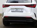 Lexus NX 450h+ AWD Executive Line | President Pack | 360 Camera | Wit - thumbnail 39