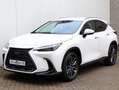 Lexus NX 450h+ AWD Executive Line | President Pack | 360 Camera | Wit - thumbnail 44