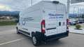 Fiat Ducato eDucato L3H2 KASTENWAGEN 42KW Weiß - thumbnail 6